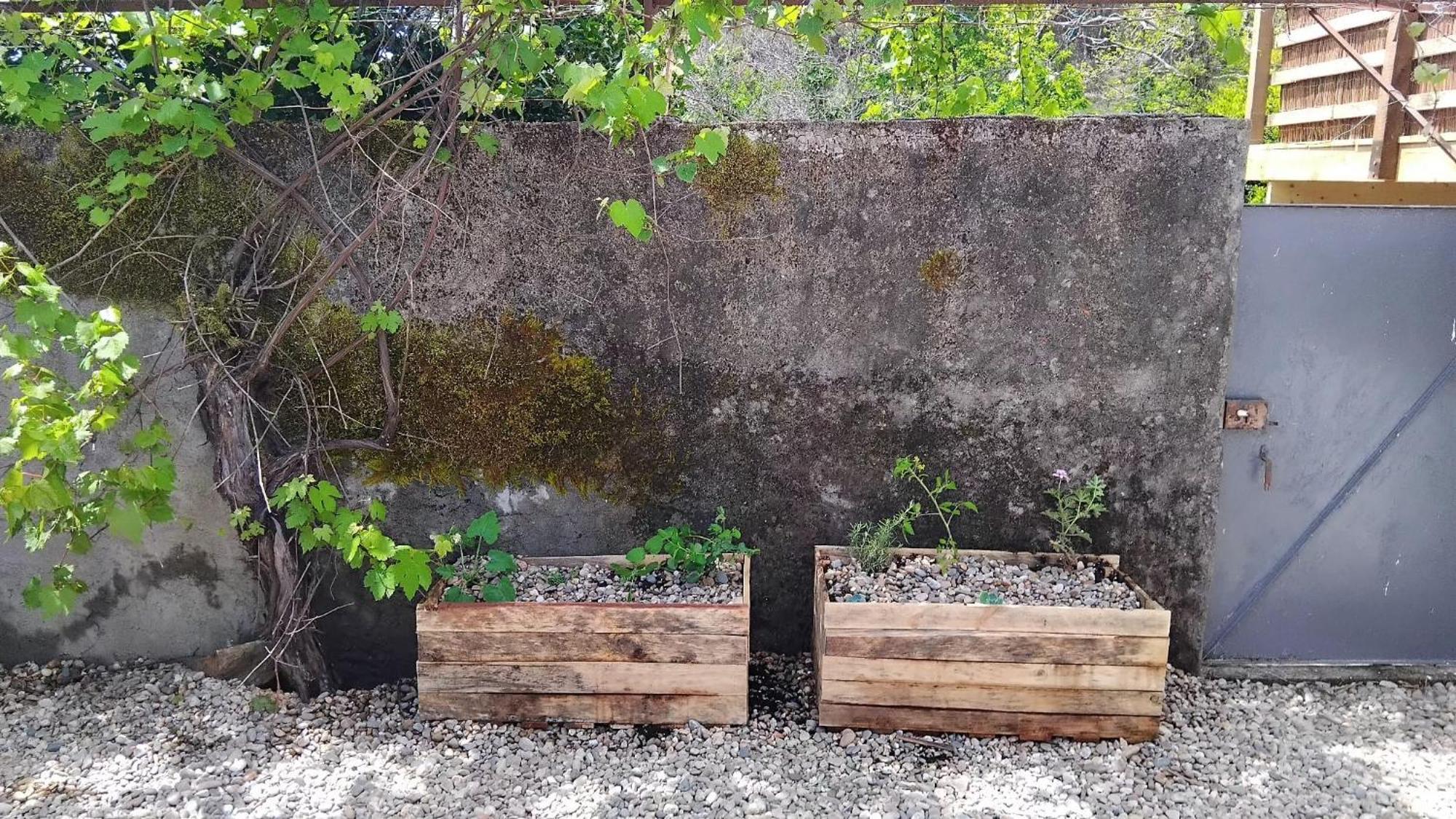 Casa Das Rocas Castanheira de Pera Exteriér fotografie